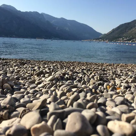 Alex * Ποντγορίτσα